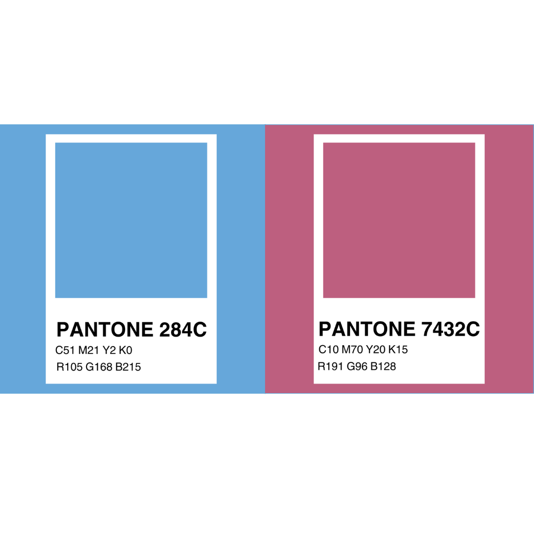 CBS Brand Identity Pantone
